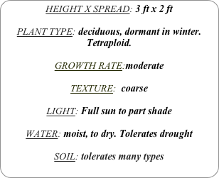 HEIGHT X SPREAD: 3 ft x 2 ft

PLANT TYPE: deciduous, dormant in winter.
Tetraploid.

GROWTH RATE:moderate

TEXTURE:  coarse

LIGHT: Full sun to part shade

WATER: moist, to dry. Tolerates drought

SOIL: tolerates many types
