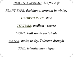 HEIGHT X SPREAD: 2-3 ft x 2  ft

PLANT TYPE: deciduous, dormant in winter.

GROWTH RATE: slow

TEXTURE: medium - coarse

LIGHT: Full sun to part shade

WATER: moist, to dry. Tolerates drought

SOIL: tolerates many types
