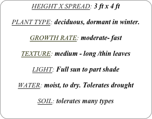HEIGHT X SPREAD: 3 ft x 4 ft

PLANT TYPE: deciduous, dormant in winter.

GROWTH RATE: moderate- fast

TEXTURE: medium - long /thin leaves

LIGHT: Full sun to part shade

WATER: moist, to dry. Tolerates drought

SOIL: tolerates many types
