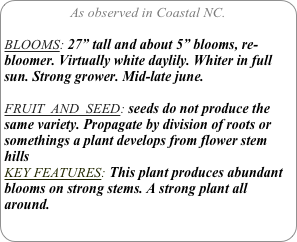 As observed in Coastal NC.

BLOOMS: 27” tall and about 5” blooms, re-bloomer. Virtually white daylily. Whiter in full sun. Strong grower. Mid-late june.

FRUIT  AND  SEED: seeds do not produce the same variety. Propagate by division of roots or somethings a plant develops from flower stem hills
KEY FEATURES: This plant produces abundant blooms on strong stems. A strong plant all around.

