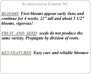 As observed in Coastal NC.

BLOOMS: First blooms appear early June and continue for 4 weeks. 22” tall and about 5 1/2” blooms, vigorous!

FRUIT  AND  SEED: seeds do not produce the same variety. Propagate by division of roots.


KEY FEATURES: Easy care and reliable bloomer