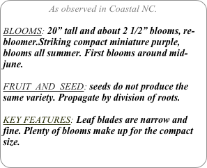 As observed in Coastal NC.

BLOOMS: 20” tall and about 2 1/2” blooms, re-bloomer.Striking compact miniature purple, blooms all summer. First blooms around mid-june.

FRUIT  AND  SEED: seeds do not produce the same variety. Propagate by division of roots.

KEY FEATURES: Leaf blades are narrow and fine. Plenty of blooms make up for the compact size.
