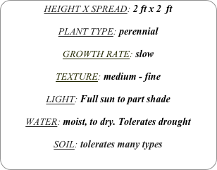 HEIGHT X SPREAD: 2 ft x 2  ft

PLANT TYPE: perennial

GROWTH RATE: slow

TEXTURE: medium - fine

LIGHT: Full sun to part shade

WATER: moist, to dry. Tolerates drought

SOIL: tolerates many types
