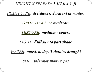 HEIGHT X SPREAD: 1 1/2 ft x 2  ft

PLANT TYPE: deciduous, dormant in winter.

GROWTH RATE: moderate

TEXTURE: medium - coarse

LIGHT: Full sun to part shade

WATER: moist, to dry. Tolerates drought

SOIL: tolerates many types
