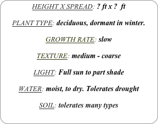 HEIGHT X SPREAD: ? ft x ?  ft

PLANT TYPE: deciduous, dormant in winter.

GROWTH RATE: slow

TEXTURE: medium - coarse

LIGHT: Full sun to part shade

WATER: moist, to dry. Tolerates drought

SOIL: tolerates many types
