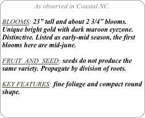 As observed in Coastal NC.

BLOOMS: 23” tall and about 2 3/4” blooms.
Unique bright gold with dark maroon eyezone. Distinctive. Listed as early-mid season, the first blooms here are mid-june.

FRUIT  AND  SEED: seeds do not produce the same variety. Propagate by division of roots.

KEY FEATURES: fine foliage and compact round shape.
