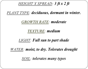 HEIGHT X SPREAD: 3 ft x 2 ft

PLANT TYPE: deciduous, dormant in winter.

GROWTH RATE: moderate

TEXTURE: medium

LIGHT: Full sun to part shade

WATER: moist, to dry. Tolerates drought

SOIL: tolerates many types

