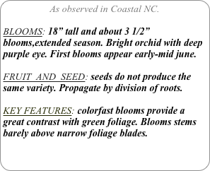 As observed in Coastal NC.

BLOOMS: 18” tall and about 3 1/2” blooms,extended season. Bright orchid with deep purple eye. First blooms appear early-mid june.

FRUIT  AND  SEED: seeds do not produce the same variety. Propagate by division of roots.

KEY FEATURES: colorfast blooms provide a great contrast with green foliage. Blooms stems barely above narrow foliage blades.
