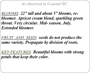 As observed in Coastal NC.

BLOOMS: 22” tall and about 5” blooms, re-bloomer. Apricot cream blend, sparkling green throat. Very circular. Mid- season, July.
Extended bloomer.

FRUIT  AND  SEED: seeds do not produce the same variety. Propagate by division of roots.

KEY FEATURES: Beautiful blooms with strong petals that keep their color.
