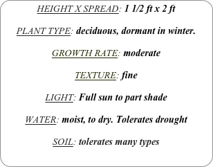 HEIGHT X SPREAD: 1 1/2 ft x 2 ft

PLANT TYPE: deciduous, dormant in winter.

GROWTH RATE: moderate

TEXTURE: fine

LIGHT: Full sun to part shade

WATER: moist, to dry. Tolerates drought

SOIL: tolerates many types
