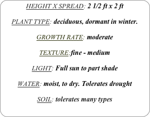 HEIGHT X SPREAD: 2 1/2 ft x 2 ft

PLANT TYPE: deciduous, dormant in winter.

GROWTH RATE: moderate

TEXTURE:fine - medium

LIGHT: Full sun to part shade

WATER: moist, to dry. Tolerates drought

SOIL: tolerates many types
