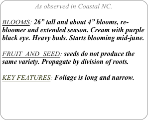As observed in Coastal NC.

BLOOMS: 26” tall and about 4” blooms, re-bloomer and extended season. Cream with purple black eye. Heavy buds. Starts blooming mid-june.

FRUIT  AND  SEED: seeds do not produce the same variety. Propagate by division of roots.

KEY FEATURES: Foliage is long and narrow.
