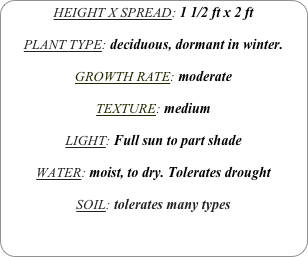 HEIGHT X SPREAD: 1 1/2 ft x 2 ft

PLANT TYPE: deciduous, dormant in winter.

GROWTH RATE: moderate

TEXTURE: medium 

LIGHT: Full sun to part shade

WATER: moist, to dry. Tolerates drought

SOIL: tolerates many types
