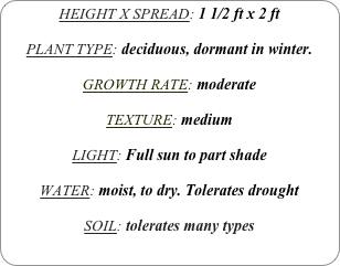 HEIGHT X SPREAD: 1 1/2 ft x 2 ft

PLANT TYPE: deciduous, dormant in winter.

GROWTH RATE: moderate

TEXTURE: medium 

LIGHT: Full sun to part shade

WATER: moist, to dry. Tolerates drought

SOIL: tolerates many types
