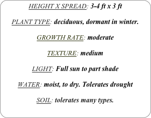 HEIGHT X SPREAD: 3-4 ft x 3 ft

PLANT TYPE: deciduous, dormant in winter.

GROWTH RATE: moderate

TEXTURE: medium 

LIGHT: Full sun to part shade

WATER: moist, to dry. Tolerates drought

SOIL: tolerates many types.
