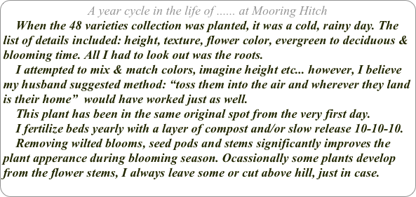 A year cycle in the life of ...... at Mooring Hitch
    When the 48 varieties collection was planted, it was a cold, rainy day. The list of details included: height, texture, flower color, evergreen to deciduous & blooming time. All I had to look out was the roots. 
    I attempted to mix & match colors, imagine height etc... however, I believe my husband suggested method: “toss them into the air and wherever they land is their home”  would have worked just as well.
    This plant has been in the same original spot from the very first day. 
    I fertilize beds yearly with a layer of compost and/or slow release 10-10-10.
    Removing wilted blooms, seed pods and stems significantly improves the plant apperance during blooming season. Ocassionally some plants develop from the flower stems, I always leave some or cut above hill, just in case.