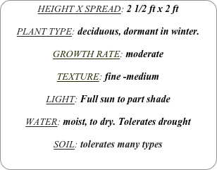 HEIGHT X SPREAD: 2 1/2 ft x 2 ft

PLANT TYPE: deciduous, dormant in winter.

GROWTH RATE: moderate

TEXTURE: fine -medium

LIGHT: Full sun to part shade

WATER: moist, to dry. Tolerates drought

SOIL: tolerates many types
