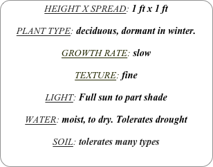 HEIGHT X SPREAD: 1 ft x 1 ft

PLANT TYPE: deciduous, dormant in winter.

GROWTH RATE: slow

TEXTURE: fine

LIGHT: Full sun to part shade

WATER: moist, to dry. Tolerates drought

SOIL: tolerates many types
