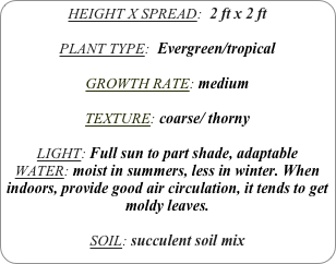 HEIGHT X SPREAD:  2 ft x 2 ft

PLANT TYPE:  Evergreen/tropical

GROWTH RATE: medium

TEXTURE: coarse/ thorny

LIGHT: Full sun to part shade, adaptable
WATER: moist in summers, less in winter. When indoors, provide good air circulation, it tends to get moldy leaves.

SOIL: succulent soil mix