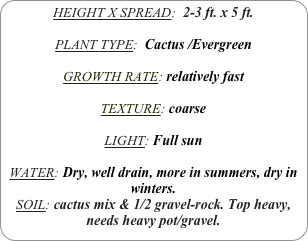 HEIGHT X SPREAD:  2-3 ft. x 5 ft.

PLANT TYPE:  Cactus /Evergreen

GROWTH RATE: relatively fast 

TEXTURE: coarse

LIGHT: Full sun

WATER: Dry, well drain, more in summers, dry in winters.
SOIL: cactus mix & 1/2 gravel-rock. Top heavy, needs heavy pot/gravel.
