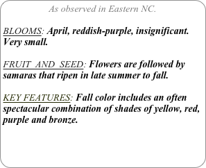 As observed in Eastern NC.

BLOOMS: April, reddish-purple, insignificant. Very small.

FRUIT  AND  SEED: Flowers are followed by samaras that ripen in late summer to fall.

KEY FEATURES: Fall color includes an often spectacular combination of shades of yellow, red, purple and bronze.
