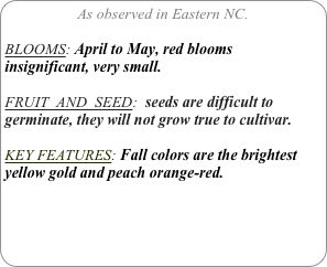 As observed in Eastern NC.

BLOOMS: April to May, red blooms insignificant, very small.

FRUIT  AND  SEED:  seeds are difficult to germinate, they will not grow true to cultivar.

KEY FEATURES: Fall colors are the brightest yellow gold and peach orange-red.
