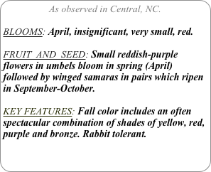 As observed in Central, NC.

BLOOMS: April, insignificant, very small, red.

FRUIT  AND  SEED: Small reddish-purple flowers in umbels bloom in spring (April) followed by winged samaras in pairs which ripen in September-October.

KEY FEATURES: Fall color includes an often spectacular combination of shades of yellow, red, purple and bronze. Rabbit tolerant.
