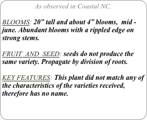As observed in Coastal NC.

BLOOMS: 20” tall and about 4” blooms,  mid -june. Abundant blooms with a rippled edge on strong stems.

FRUIT  AND  SEED: seeds do not produce the same variety. Propagate by division of roots.

KEY FEATURES: This plant did not match any of the characteristics of the varieties received, therefore has no name.

