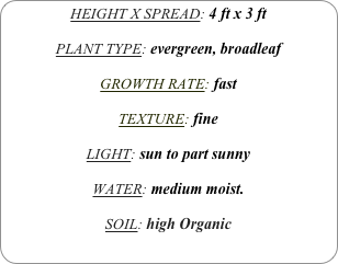 HEIGHT X SPREAD: 4 ft x 3 ft

PLANT TYPE: evergreen, broadleaf

GROWTH RATE: fast

TEXTURE: fine

LIGHT: sun to part sunny

WATER: medium moist.

SOIL: high Organic
