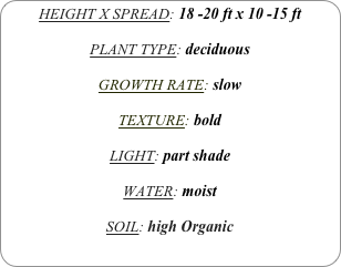 HEIGHT X SPREAD: 18 -20 ft x 10 -15 ft

PLANT TYPE: deciduous

GROWTH RATE: slow

TEXTURE: bold

LIGHT: part shade

WATER: moist

SOIL: high Organic
