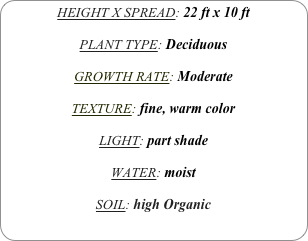 HEIGHT X SPREAD: 22 ft x 10 ft

PLANT TYPE: Deciduous

GROWTH RATE: Moderate

TEXTURE: fine, warm color

LIGHT: part shade

WATER: moist

SOIL: high Organic
