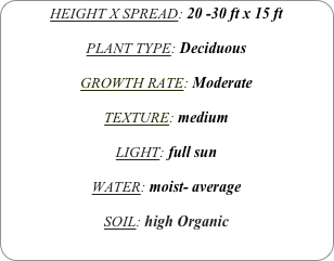 HEIGHT X SPREAD: 20 -30 ft x 15 ft

PLANT TYPE: Deciduous

GROWTH RATE: Moderate

TEXTURE: medium

LIGHT: full sun

WATER: moist- average

SOIL: high Organic
