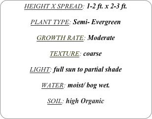 HEIGHT X SPREAD: 1-2 ft. x 2-3 ft.

PLANT TYPE: Semi- Evergreen

GROWTH RATE: Moderate

TEXTURE: coarse

LIGHT: full sun to partial shade

WATER: moist/ bog wet.

SOIL: high Organic
