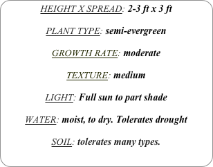 HEIGHT X SPREAD: 2-3 ft x 3 ft

PLANT TYPE: semi-evergreen

GROWTH RATE: moderate

TEXTURE: medium 

LIGHT: Full sun to part shade

WATER: moist, to dry. Tolerates drought

SOIL: tolerates many types.
