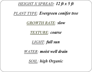 HEIGHT X SPREAD: 12 ft x 5 ft

PLANT TYPE: Evergreen conifer tree

GROWTH RATE: slow

TEXTURE: coarse

LIGHT: full sun

WATER: moist well drain

SOIL: high Organic
