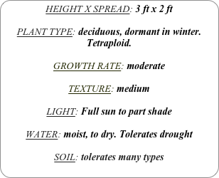 HEIGHT X SPREAD: 3 ft x 2 ft

PLANT TYPE: deciduous, dormant in winter.
Tetraploid.

GROWTH RATE: moderate

TEXTURE: medium 

LIGHT: Full sun to part shade

WATER: moist, to dry. Tolerates drought

SOIL: tolerates many types
