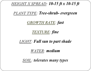 HEIGHT X SPREAD: 10-15 ft x 10-15 ft

PLANT TYPE: Tree-shrub- evergreen

GROWTH RATE: fast

TEXTURE: fine

LIGHT: Full sun to part shade

WATER: medium

SOIL: tolerates many types
