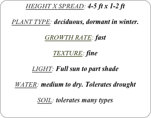 HEIGHT X SPREAD: 4-5 ft x 1-2 ft

PLANT TYPE: deciduous, dormant in winter.

GROWTH RATE: fast

TEXTURE: fine

LIGHT: Full sun to part shade

WATER: medium to dry. Tolerates drought

SOIL: tolerates many types
