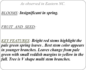 As observed in Eastern NC.

BLOOMS: Insignificant in spring.


FRUIT  AND  SEED:


KEY FEATURES: Bright red stems highlight the pale green spring leaves . Best stem color appears in younger branches. Leaves change from pale green with small reddish margins to yellow in the fall. Tree is V shape multi stem branches.