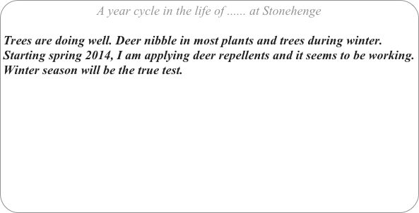 A year cycle in the life of ...... at Stonehenge

Trees are doing well. Deer nibble in most plants and trees during winter. Starting spring 2014, I am applying deer repellents and it seems to be working. Winter season will be the true test.
