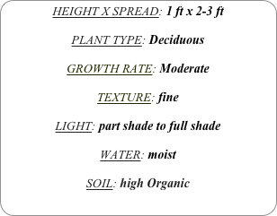 HEIGHT X SPREAD: 1 ft x 2-3 ft

PLANT TYPE: Deciduous

GROWTH RATE: Moderate

TEXTURE: fine

LIGHT: part shade to full shade

WATER: moist

SOIL: high Organic
