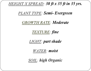 HEIGHT X SPREAD: 30 ft x 35 ft in 35 yrs.

PLANT TYPE: Semi- Evergreen

GROWTH RATE: Moderate

TEXTURE: fine

LIGHT: part shade

WATER: moist

SOIL: high Organic

