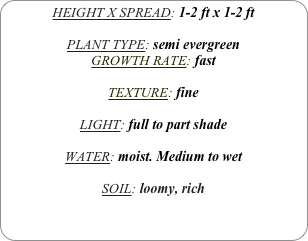 HEIGHT X SPREAD: 1-2 ft x 1-2 ft

PLANT TYPE: semi evergreen
GROWTH RATE: fast

TEXTURE: fine

LIGHT: full to part shade

WATER: moist. Medium to wet

SOIL: loomy, rich
