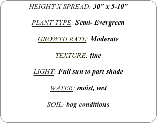 HEIGHT X SPREAD: 30” x 5-10”

PLANT TYPE: Semi- Evergreen

GROWTH RATE: Moderate

TEXTURE: fine

LIGHT: Full sun to part shade

WATER: moist, wet

SOIL: bog conditions
