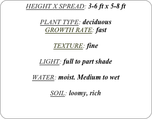 HEIGHT X SPREAD: 3-6 ft x 5-8 ft

PLANT TYPE: deciduous
GROWTH RATE: fast

TEXTURE: fine

LIGHT: full to part shade

WATER: moist. Medium to wet

SOIL: loomy, rich
