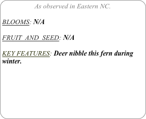 As observed in Eastern NC.

BLOOMS: N/A

FRUIT  AND  SEED: N/A

KEY FEATURES: Deer nibble this fern during winter. 
