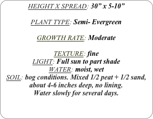 HEIGHT X SPREAD: 30” x 5-10”

PLANT TYPE: Semi- Evergreen

GROWTH RATE: Moderate

TEXTURE: fine
LIGHT: Full sun to part shade
WATER: moist, wet
SOIL: bog conditions. Mixed 1/2 peat + 1/2 sand, about 4-6 inches deep, no lining.
Water slowly for several days.
