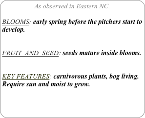 As observed in Eastern NC.

BLOOMS: early spring before the pitchers start to develop.


FRUIT  AND  SEED: seeds mature inside blooms.


KEY FEATURES: carnivorous plants, bog living. Require sun and moist to grow.