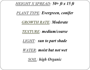 HEIGHT X SPREAD: 50+ ft x 15 ft

PLANT TYPE: Evergreen, conifer

GROWTH RATE: Moderate

TEXTURE: medium/coarse

LIGHT:  sun to part shade

WATER: moist but not wet

SOIL: high Organic
