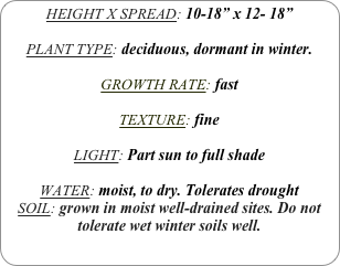 HEIGHT X SPREAD: 10-18” x 12- 18”

PLANT TYPE: deciduous, dormant in winter.

GROWTH RATE: fast

TEXTURE: fine

LIGHT: Part sun to full shade

WATER: moist, to dry. Tolerates drought
SOIL: grown in moist well-drained sites. Do not tolerate wet winter soils well.
